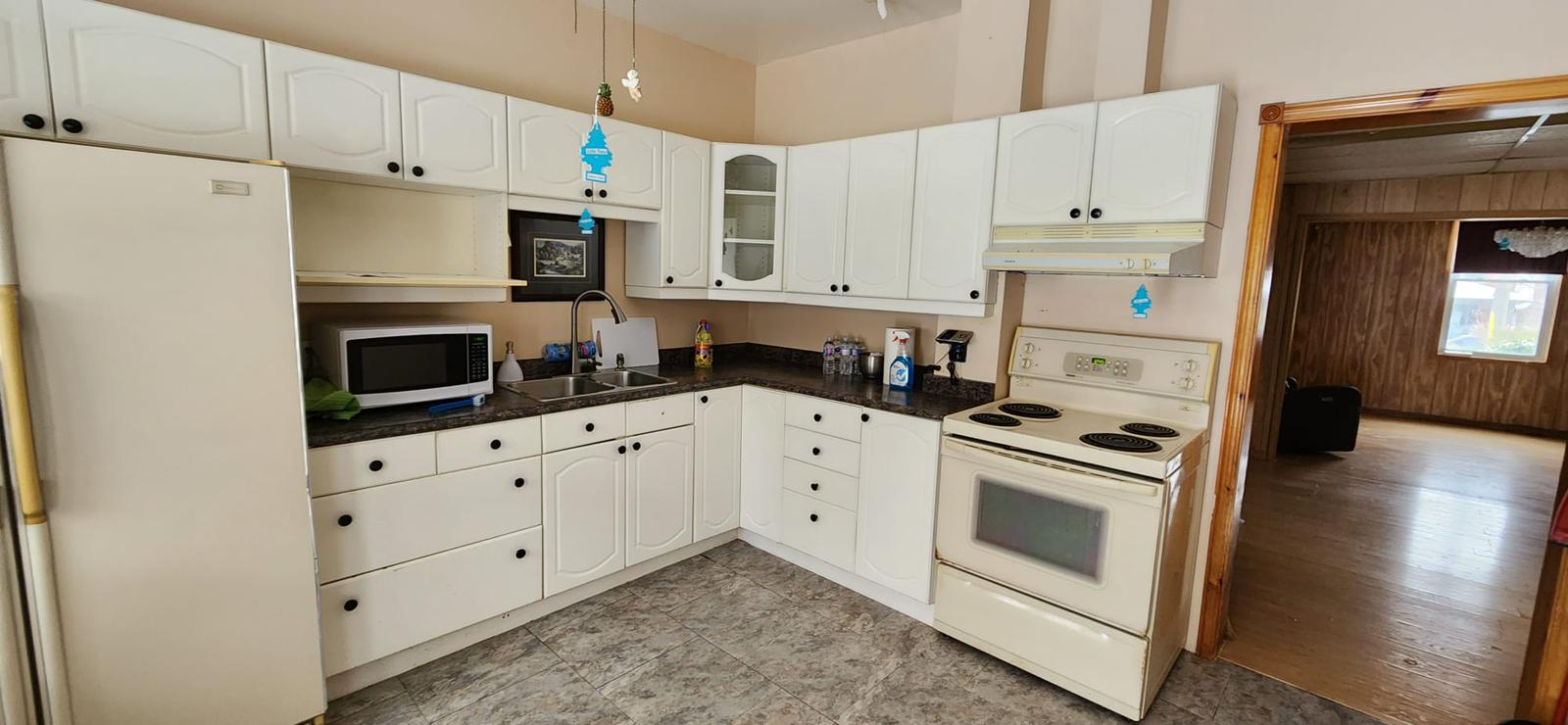 Kitchen before renovation